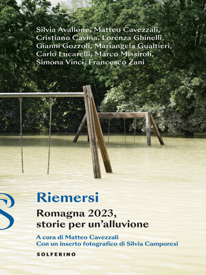 cover image of Riemersi